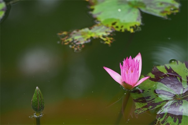 一个人在医院的说说-74句