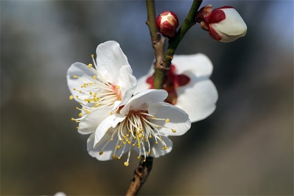 日子不好句子(精选43句)