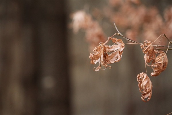 适合经常用来赞美消防队员的优秀句子汇总(50条)