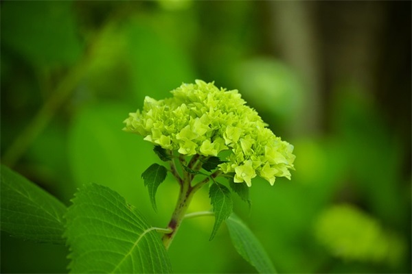 感慨生命脆弱的句子汇集