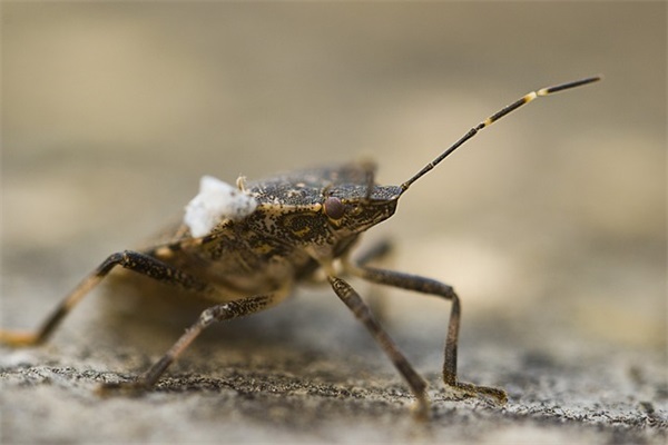 一个人屡教不改的说说-58句