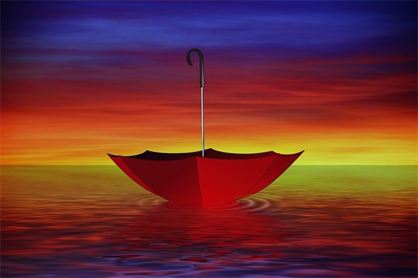 赞美月季花魅力无限的优美句子 (集锦40句)