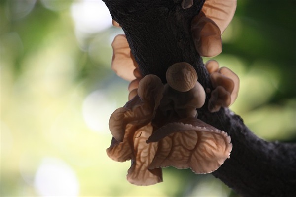 父母祝孩子学业有成的温馨句子锦集(40条)