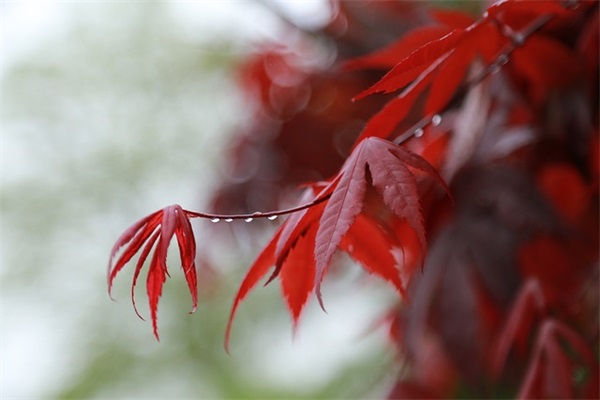 售房创意广告句子45句