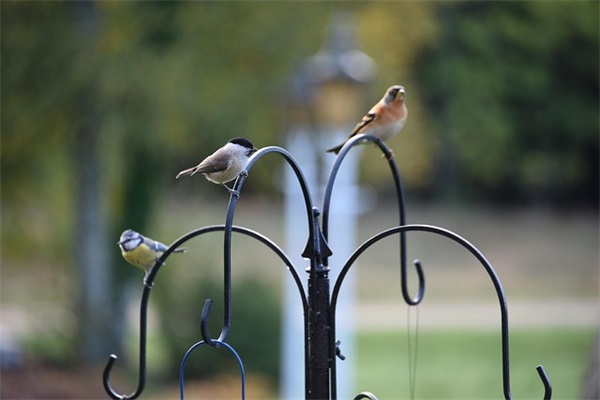 小说中伤感的古风句子