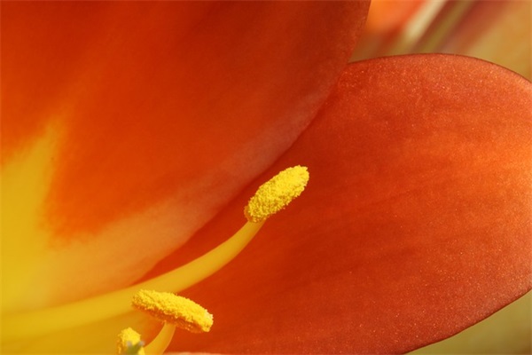 分手了祝你七夕节快乐句子