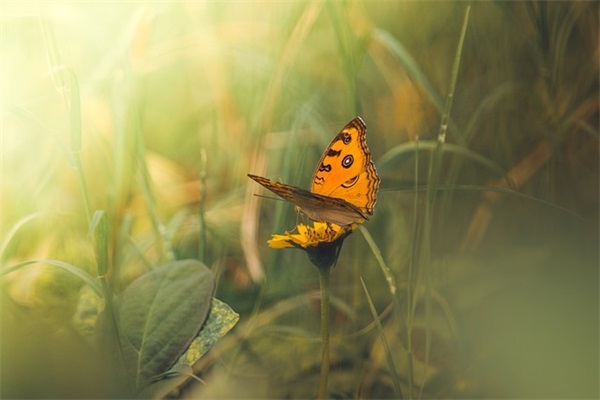暗示不会见面的意难平文案 分道扬镳时的郁闷说说
