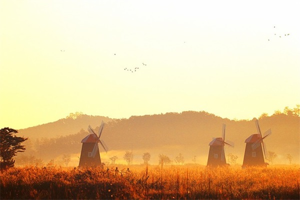 普通却能心动很久的签名 温情走心的签名大全