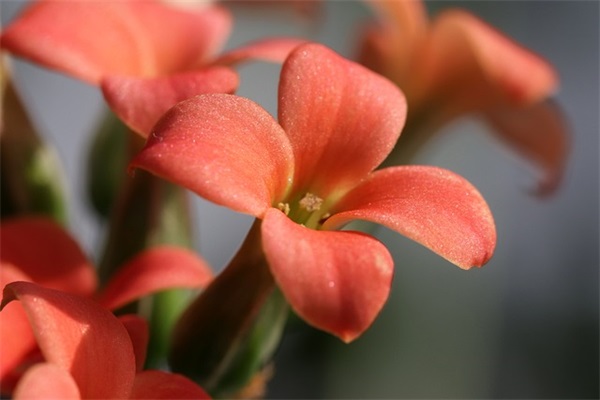 加薪申请书范文