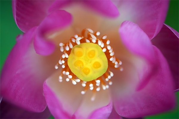 贵州水利工程专业求职信