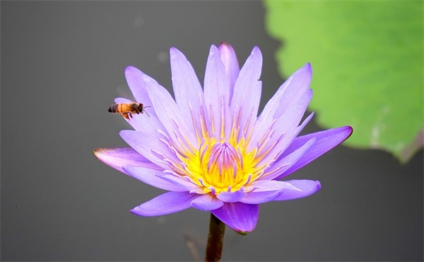 怎样写申请书范文