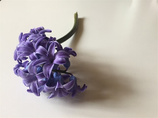 军人活动演讲稿范文