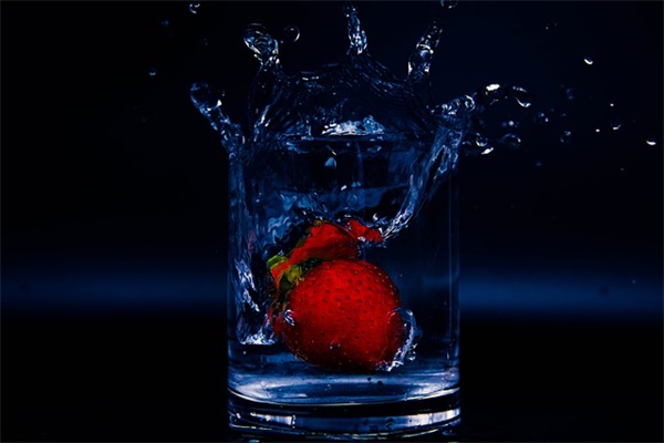 医学预防专业求职信怎么写