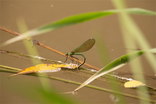 给高三孩子们的寄语鼓励-54句