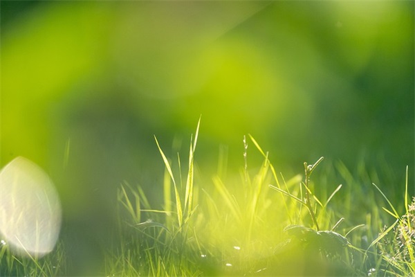 孩子写给父母的安全寄语-52句