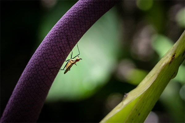 六岁儿童成长寄语大全-50句