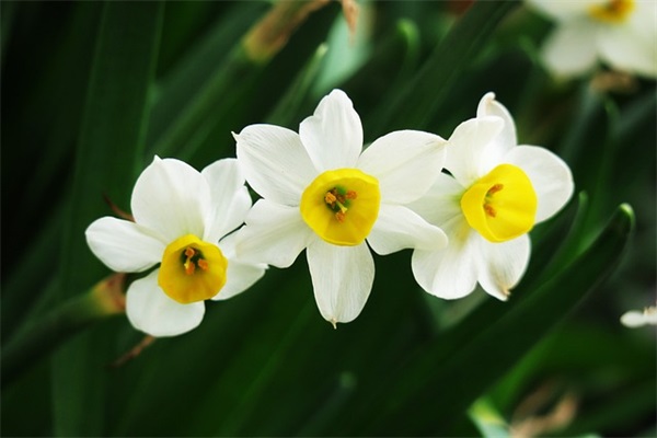 对孩子健康的寄语-50句