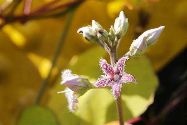 孩子寄语唯美句子-55句