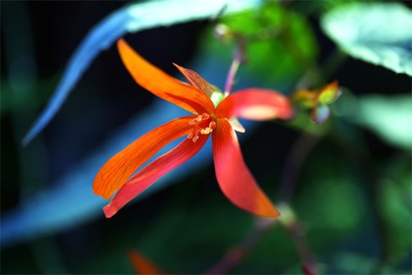 学生开学寄语精选-51句