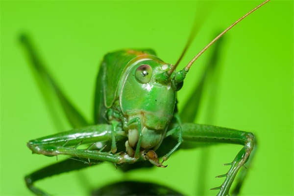 祝福刚出生小宝宝的成长寄语-53句