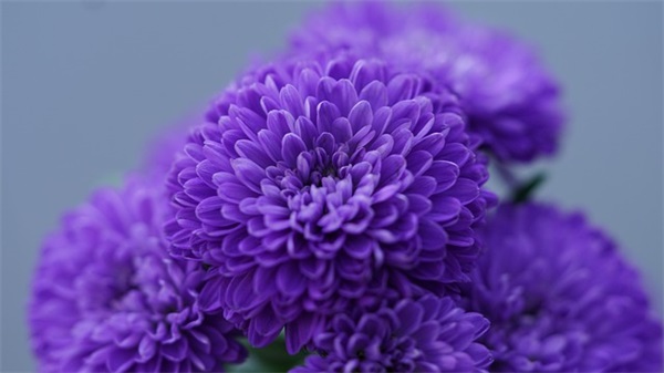 毕业家长寄语怎么写-46句