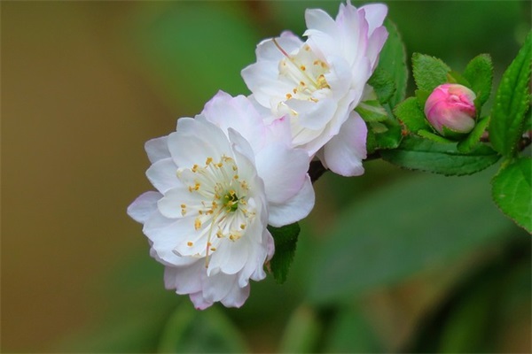 学生寄语中学生-59句