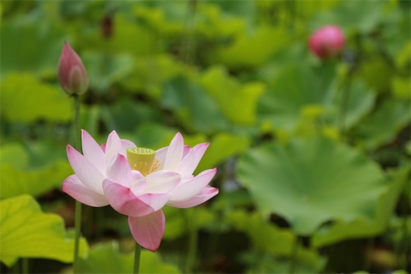 高中生寄语简短一句话-52句