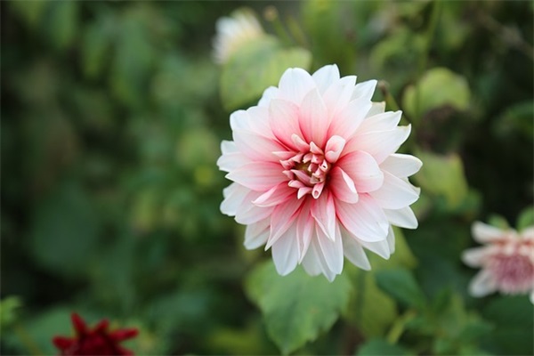 给孩子阅读的寄语-60句