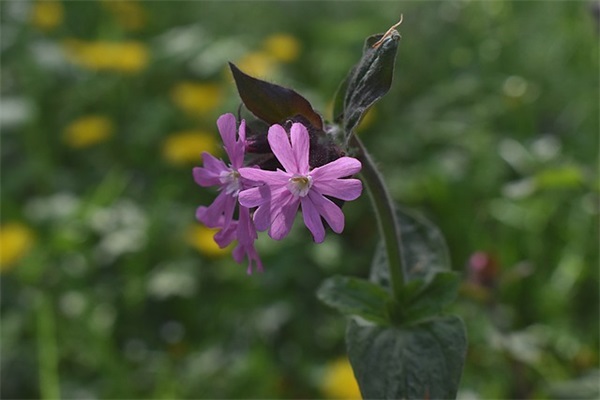 中考毕业寄语经典短句-54句