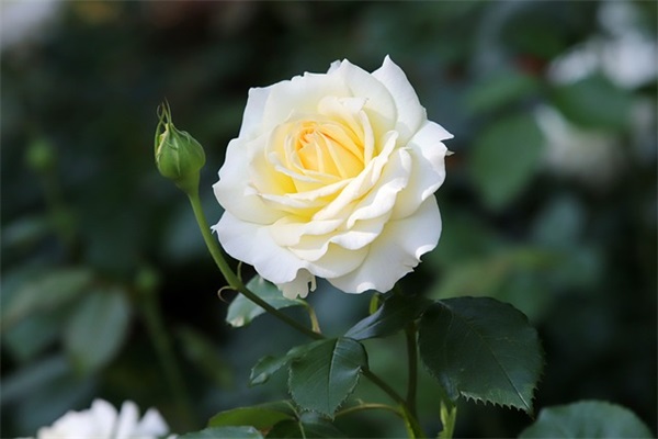 鼓励孩子进入高中的寄语-55句