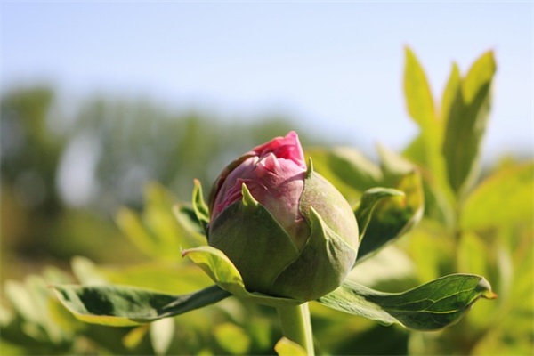 人生寄语生活感悟短句-53句