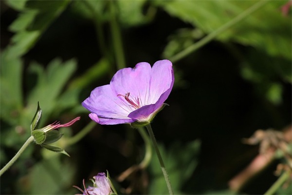 期末写给孩子的寄语和希望-38句