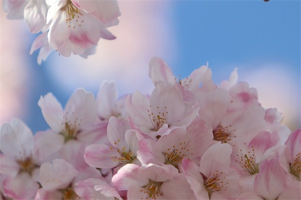 高一学生寄语励志-56句