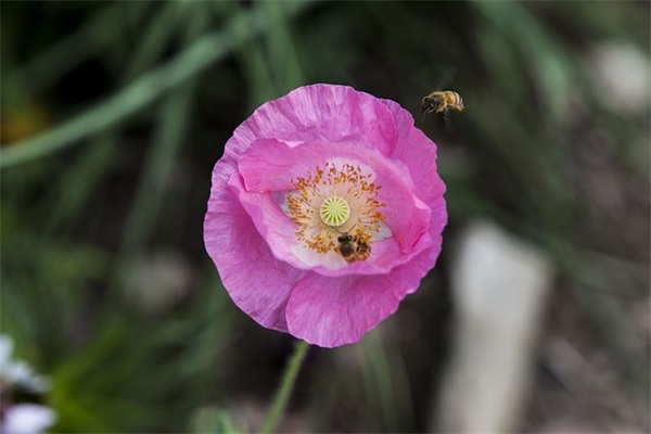 幼儿对同班同学的毕业简短寄语-50句