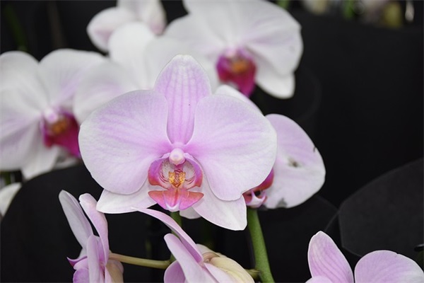 十二岁寄语-50句