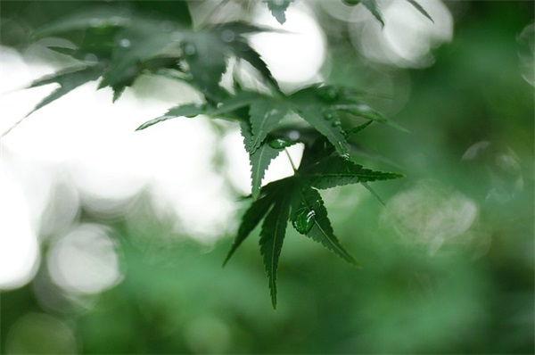 激励高考学生的寄语-55句