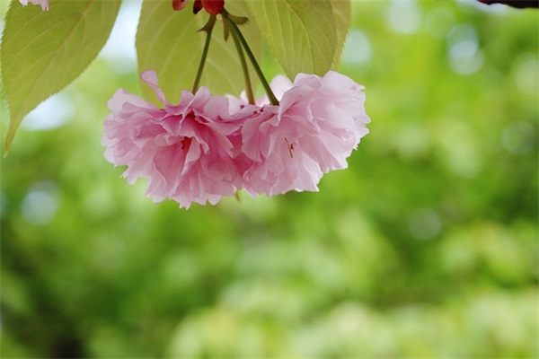 父母对毕业班女儿的简短寄语-46句