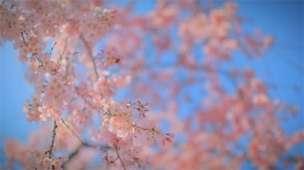 六一儿童节父母对孩子的寄语简短-44句