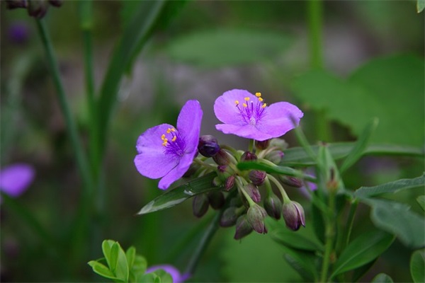 写给6岁孩子的寄语-51句
