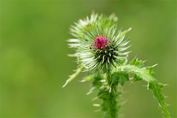 初中毕业寄语唯美句子同学-50句