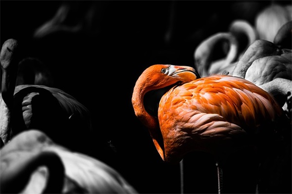 小升初对学生的寄语有哪些-54句