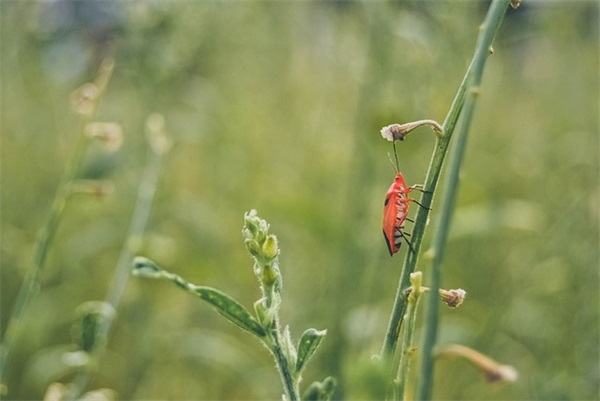 一周岁宝宝寄语简短-52句