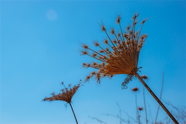 老师祝福幼儿园毕业班寄语-51句