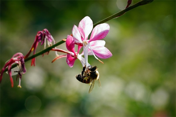 寄语未来的自己-54句