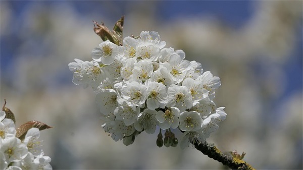 学生的寄语简短-52句