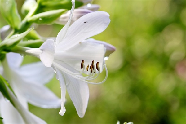 小学生学籍手册家长寄语-35句