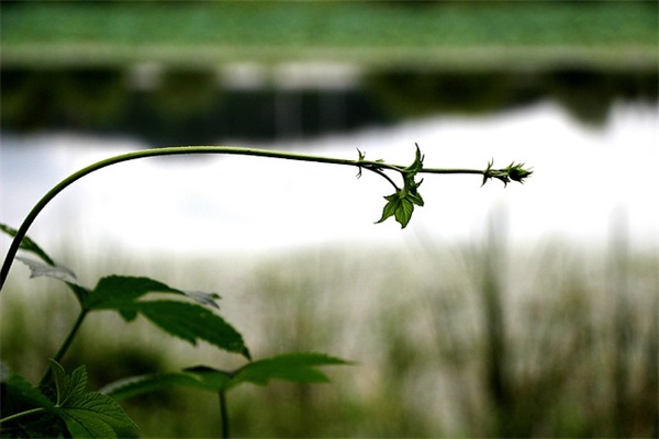 教师给学生的励志寄语-51句