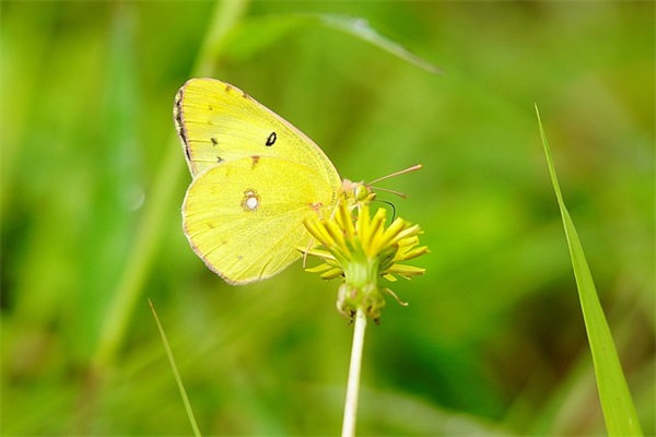 高中学生寄语励志-63句