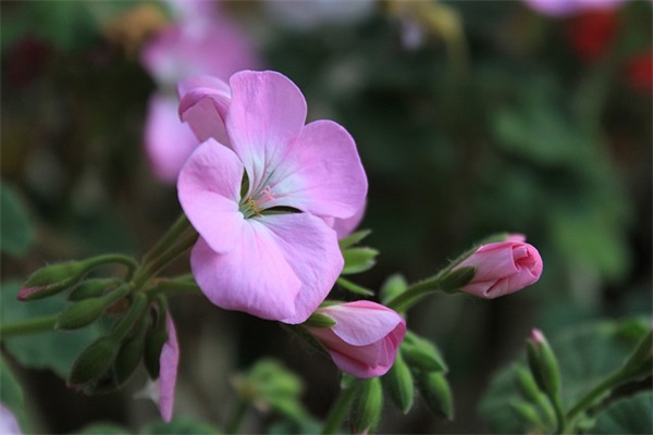 妈妈爸爸对孩子的寄语-35句