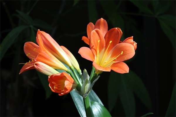 四月幼儿园寄语-35句